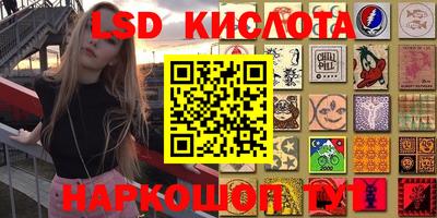 прущие крисы Камышлов