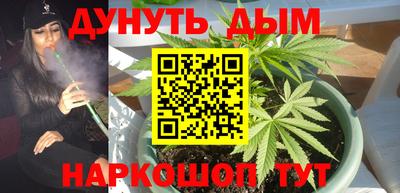 прущие крисы Камышлов