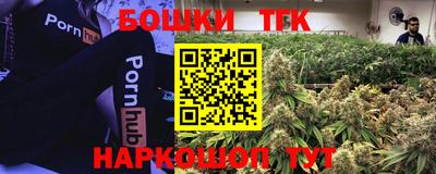 прущие крисы Камышлов