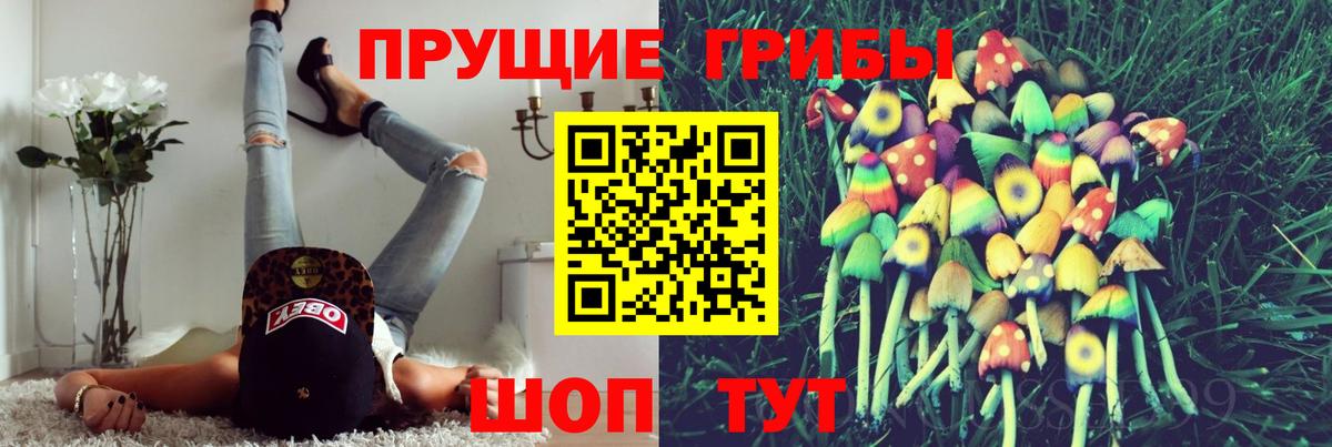 Галлюциногенные грибы прущие грибы Кудымкар